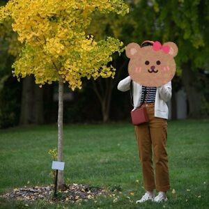 Everlane woman - the straight leg crop